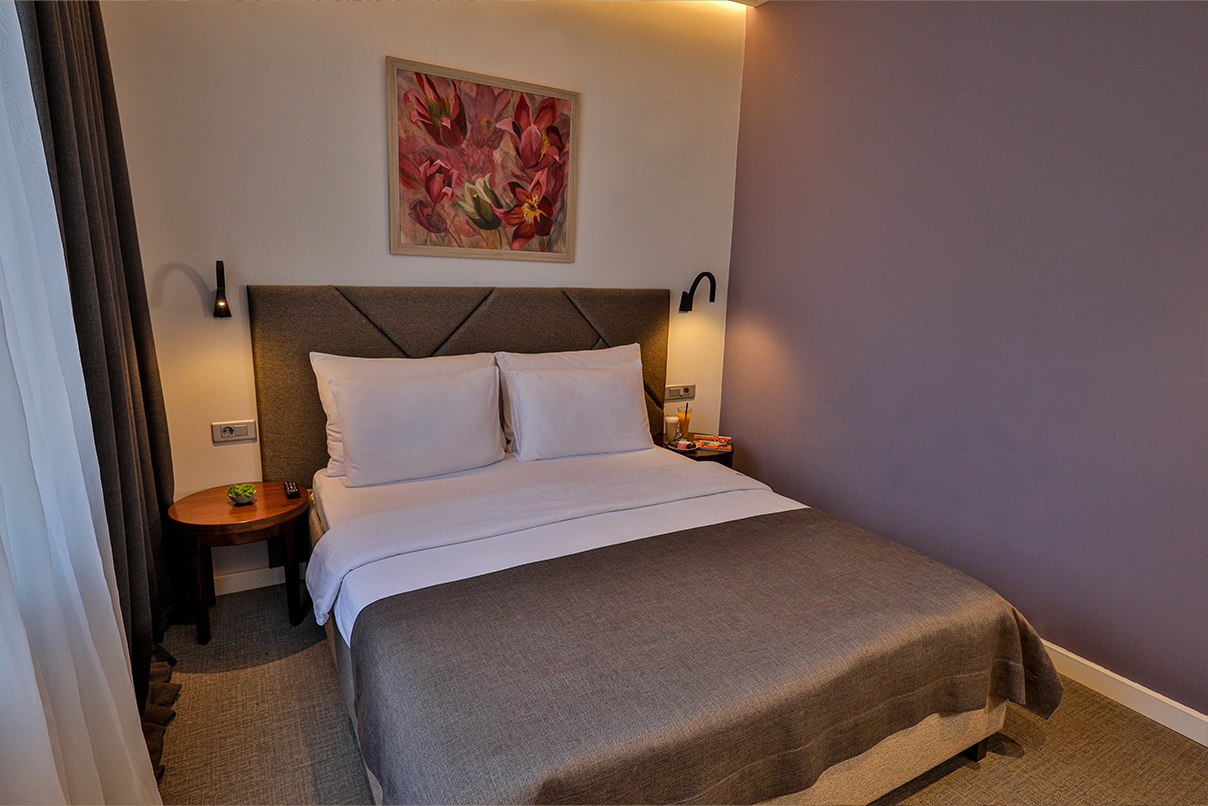 Standard Double Room – Hotel Botanica Belgrade – 5