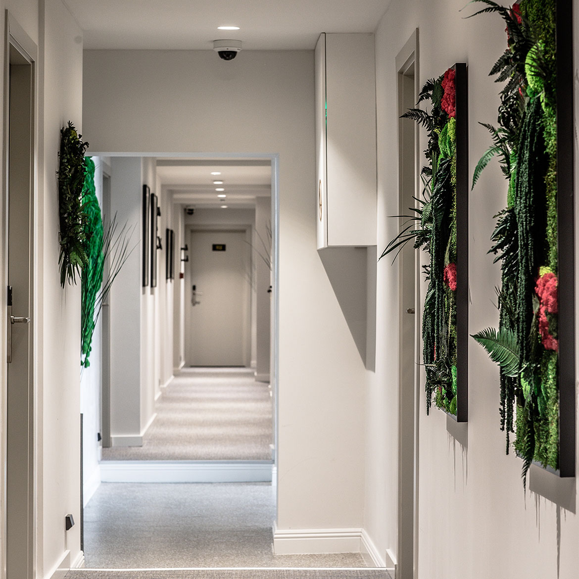 Hotel Botanica Corridor and Guest Rooms Hotel Corridor at Hotel Botanica Belgrade